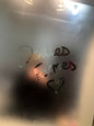 Douche bien chaude solo - 29/05/2025